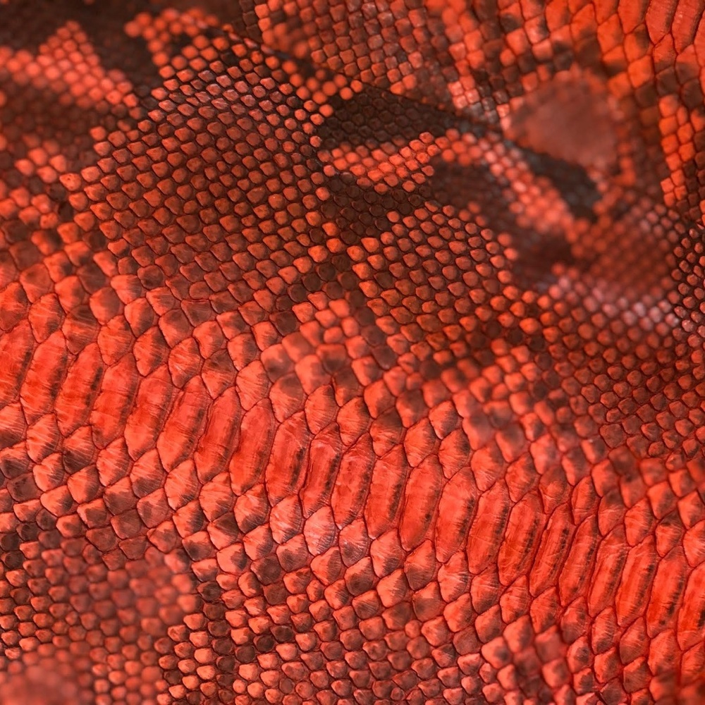 Devi Kroell Python Embossed Leather Shoulder Handb - Picture 9 of 9